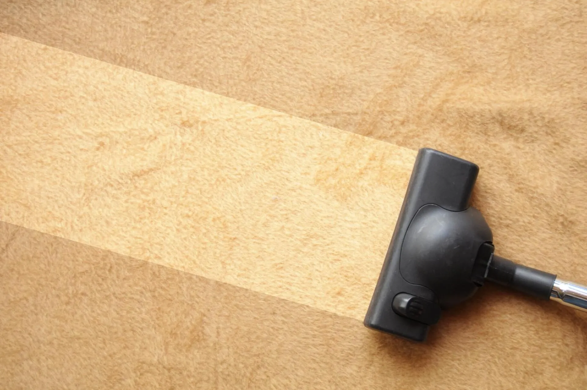 Professional carpet cleaner steam cleaning a carpet in Soquel, CA