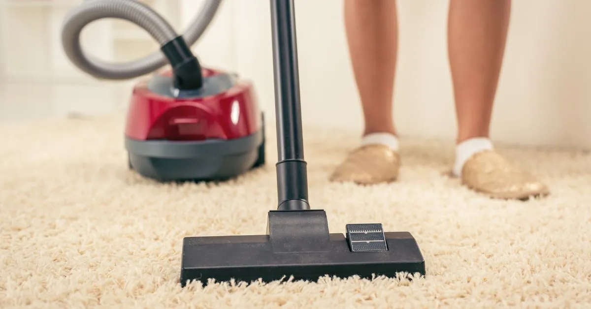 Carpet Cleaning for Businesses: The Importance of a Professional Appearance