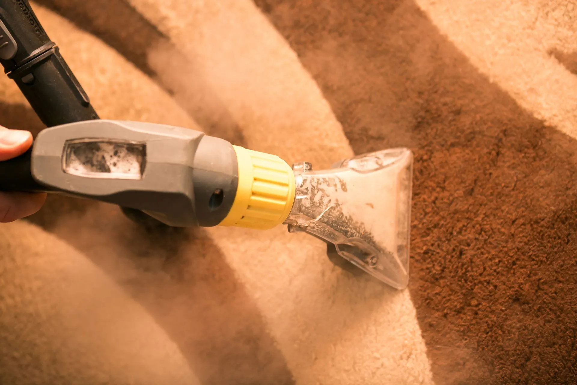 Why Professional Carpet Cleaning is Better Than DIY